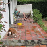 Pet-friendly Holiday Cottage